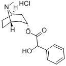 CAS#: 637-21-8, Homatropine Hydrochloride
