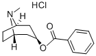 CAS 登录号:637-23-0, 托哌可卡因盐酸盐