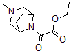 CAS#: 63977-71-9, alpha-Oxo-3-Methyl-3,8-Diazabicyclo[3.2.1]Octane-8-Acetic Acid Ethyl Ester