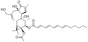 CAS 登录号：64604-09-7， 12-O-十四碳-2,4,6,8-四烯酰基佛波醇-13-乙酸酯