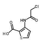 CAS 登录号：648858-95-1， 3-[(氯乙酰基)氨基]-2-噻吩羧酸