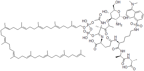 CAS 登录号:65717-73-9, 十一联异戊烯二磷酸酯-N-乙酰基胞壁酸-(5-二甲基氨基萘-1-磺酰基)五肽