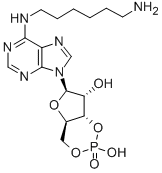 CAS#: 66311-09-9, N(6)-(Aminohexyl)-adenosine-3',5'-monophosphate