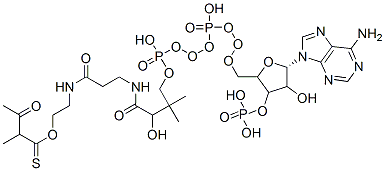 CAS#: 6712-01-2, S-[2-[3-[[4-[[[5-(6-Aminopurin-9-Yl)-4-Hydroxy-3-Phosphonooxyoxolan-2-Yl]Methoxy-Hydroxyphosphoryl]Oxy-Hydroxyphosphoryl]Oxy-2-Hydroxy-3,3-Dimethylbutanoyl]Amino]Propanoylamino]Ethyl] 2-Methyl-3-Oxobutanethioate