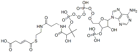 CAS#: 6712-05-6, 4-[2-[3-[[4-[[[5-(6-Aminopurin-9-Yl)-4-Hydroxy-3-Phosphonooxy-Oxolan-2-Yl]Methoxy-Hydroxy-Phosphoryl]Oxy-Hydroxy-Phosphoryl]Oxy-2-Hydroxy-3,3-Dimethyl-Butanoyl]Amino]Propanoylamino]Ethylsulfanylcarbonyl]But-3-Enoic Acid