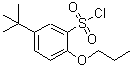 CAS#: 681260-21-9, 5-(2-Methyl-2-propanyl)-2-propoxybenzenesulfonyl chloride