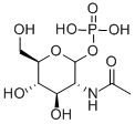 CAS 登录号：6866-69-9， N-乙酰基葡萄糖胺-1-磷酸酯