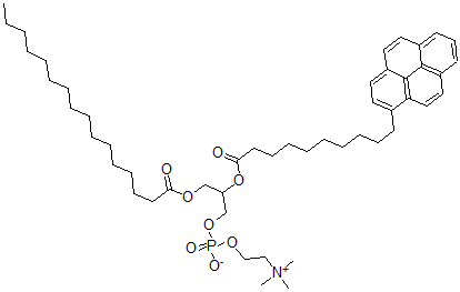 CAS#: 70700-33-3, 1-Palmitoyl-2-Pyrenedecanoylphosphatidylcholine