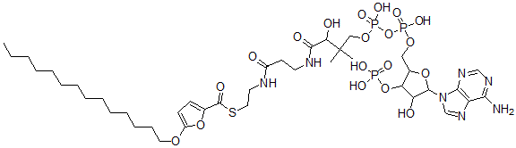 CAS 登录号：71865-60-6， 5-(十四烷氧基)-2-糠酰-辅酶A