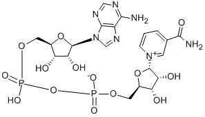CAS#: 7298-93-3, alpha-Diphosphopyridine Nucleotide