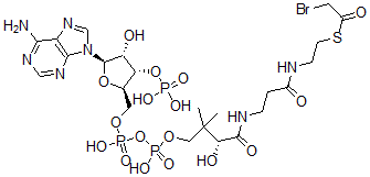 CAS#: 7303-38-0, 2-Bromoacetyl Coenzyme A