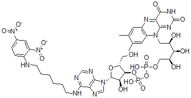 CAS 登录号：73121-99-0， [[(2S,3R,4R)-5-(7,8-二甲基-2,4-二氧代苯并[g]蝶啶-10-基)-2,3,4-三羟基戊氧基]-羟基磷酰][(2R,3S,4R,5R)-5-[6-[6-[(2,4-二硝基苯基)氨基]己基氨基]嘌呤-9-基]-4-羟基-2-(羟基甲基)四氢呋喃-3-基]氢磷酸酯