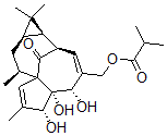 CAS#: 74690-91-8, 20-O-Isobutyrylingenol