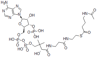 CAS 登录号：74833-91-3， S-[2-[3-[[(2R)-4-[[[(2R,3S,4R,5R)-5-(6-氨基嘌呤-9-基)-4-羟基-3-膦酰氧基四氢呋喃-2-基]甲氧基-羟基磷酰]氧基-羟基磷酰]氧基-2-羟基-3,3-二甲基丁酰基]氨基]丙酰氨基]乙基]4-乙酰氨基硫代丁酸酯
