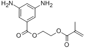 CAS 登录号：76067-81-7， 2-(甲基丙烯酰氧基)乙基 3,5-二氨基苯甲酸酯