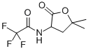 CAS#: 77694-20-3, N-(5,5-Dimethyl-2-Oxooxolan-3-Yl)-2,2,2-Trifluoroacetamide