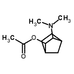 CAS#: 779268-13-2, 3-(Dimethylamino)bicyclo[2.2.1]hept-2-yl acetate