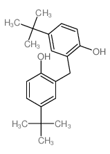 CAS 登录号：799-13-3， 4-叔丁基-2-(5-叔-丁基-2-羟基-苄基)苯酚