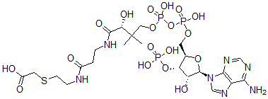 CAS#: 79955-48-9, Carboxymethyl-Coenzyme A