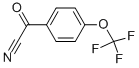 CAS#: 80277-36-7, 4-(Trifluoromethoxy)Benzoyl Cyanide