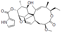 CAS 登录号：81482-43-1， 18-脱氧阿根诺卡菌素 A1