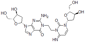 CAS#: 83008-59-7, 1-(N(3)-Deoxycytidyl)-2-(N(1)-Deoxyguanosinyl)Ethane