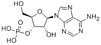 CAS#: 84-21-9, 3'-Adenylic Acid