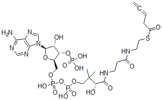 CAS 登录号：84061-72-3， 3,4-戊二烯酰基-辅酶 A