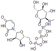CAS 登录号:84283-22-7, 尿苷 5'-(三氢二磷酸酯),单(2-脱氧-2-(甲基氨基)-O-膦酰-alpha-D-吡喃葡萄糖基)酯