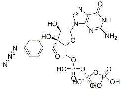 CAS#: 84433-07-8, 3'-(4-Azidobenzoyl)Guanosine Triphosphate