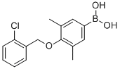 CAS 登录号：849052-15-9， B-[4-[(2-氯苯基)甲氧基]-3,5-二甲基苯基]-硼酸