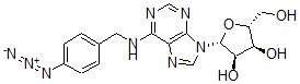 CAS 登录号：85107-83-1， N(6)-(4-叠氮基苄基)腺苷