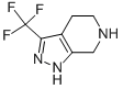 CAS 登录号：853784-21-1， 4,5,6,7-四氢-3-(三氟甲基)-1H-吡唑并[3,4-c]吡啶