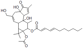 CAS 登录号：85527-86-2， 12-O-十一碳二烯酰基佛波醇-13-乙酸酯
