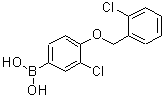 CAS 登录号：870777-26-7， {3-氯-4-[(2-氯苄基)氧基]苯基}硼酸