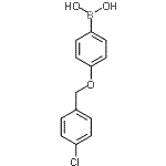 CAS#: 870778-91-9, {4-[(4-Chlorobenzyl)oxy]phenyl}boronic acid