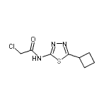 CAS#: 878668-04-3, 2-Chloro-N-(5-cyclobutyl-1,3,4-thiadiazol-2-yl)acetamide