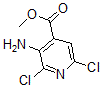 CAS 登录号：883107-62-8， 3-氨基-2,6-二氯-4-吡啶羧酸甲酯