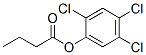 CAS#: 90842-37-8, (2,4,5-Trichlorophenyl) butanoate