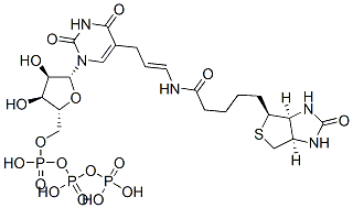 CAS 登录号：92999-28-5， 5-(N-生物素基-3-氨基烯丙基)尿苷 5'-三磷酸酯