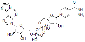 CAS#: 94516-26-4, 4-Hydrazinocarbonylpyridine-1,N(6)-Ethenoadenine Dinucleotide
