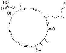 CAS 登录号：95152-89-9， 氧地非西丁