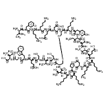 CAS#: 96182-95-5, N-({(3S,6S,9S,12R,17R,20S,23S,26S,29S,32S,35S,38S,41S,44S,49aS)-3,6,20,38,41-Pentakis(4-aminobutyl)-26-[(2S)-2-butanyl]-35-(2-carboxyethyl)-44-(carboxymethyl)-23-(4-hydroxybenzyl)-9-[(1R)-1-hydroxyeth yl]-17-[(L-isoleucyl-L-phenylalanyl-L-lysyl-L-lysyl-L-alpha-glutamyl-L-alpha-aspartyl)amino]-29,32-diisopropyl-1,4,7,10,18,21,24,27,30,33,36,39,42,45-tetradecaoxohexatetracontahydro-1H-pyrrolo[2,1-p][ 1,2,5,8,11,14,17,20,23,26,29,32,35,38,41,44]dithiatetradecaazacycloheptatetracontin-12-yl}carbonyl)-L-seryl-L-valyl-L-seryl-L-alpha-glutamyl-L-tryptophylglycyl-L-isoleucine