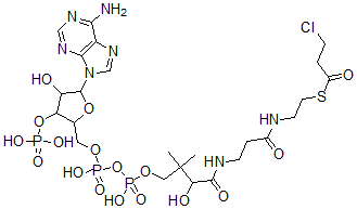 CAS 登录号：96212-36-1， 3-氯丙酰辅酶 A