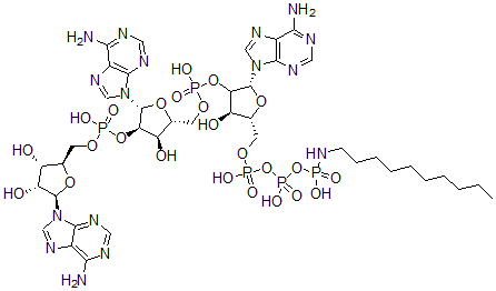 CAS#: 96902-45-3, P(1)-Adenylyl-5'-2'-Adenylyl-5'-2'-Adenosyl-P(3)-N-Decylaminotriphosphate