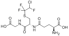 CAS 登录号:97058-30-5, S-(2-氯-1,1,2-三氟乙基)谷胱甘肽