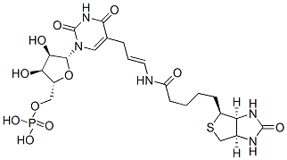 CAS 登录号:97950-37-3, 5-(N-生物素基-3-氨基烯丙基)尿苷 5'-单磷酸酯