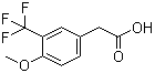 structure of CAS# 1000566-45-9, 4-甲氧基-3-(三氟甲基)苯乙酸