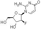 CAS 登录号：1006872-82-7, 2-氨基-1-(2-脱氧-2-氟-beta-D-呋喃阿拉伯糖基)-4(1H)-嘧啶酮