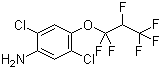 structure of CAS# 103015-84-5, 2,5-Dichloro-4-(1,1,2,3,3,3-hexafluoropropoxy)benzenamine